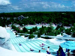 Toboggan Slides